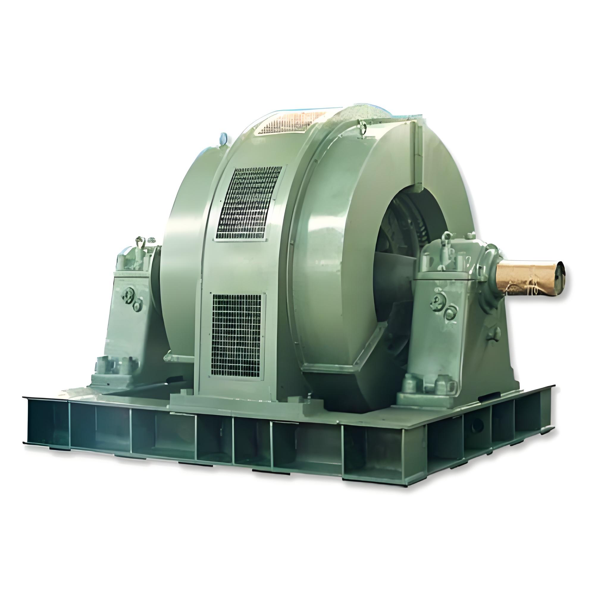 TDMK36极大型同步电机